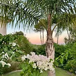 Pansiyon Patio Sotogrande